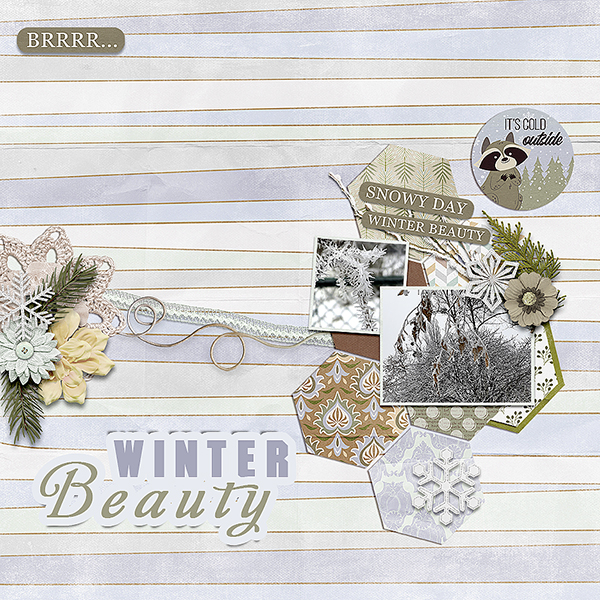 Winter Beauty