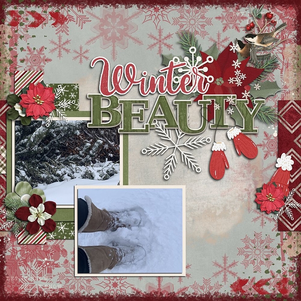 Winter Beauty