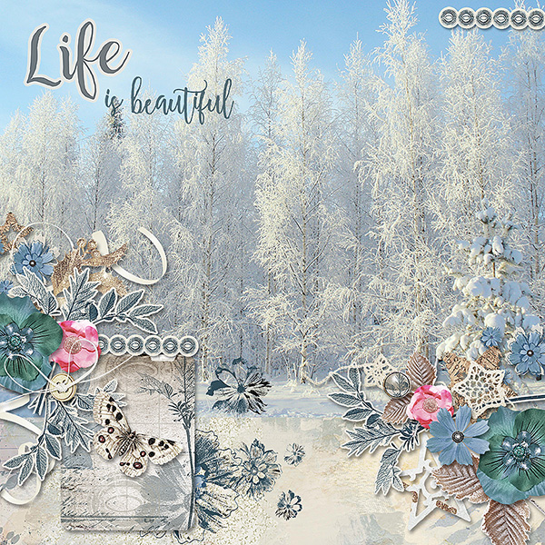 Winter Beauty