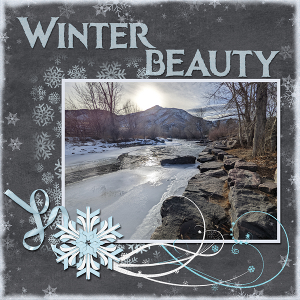 Winter Beauty