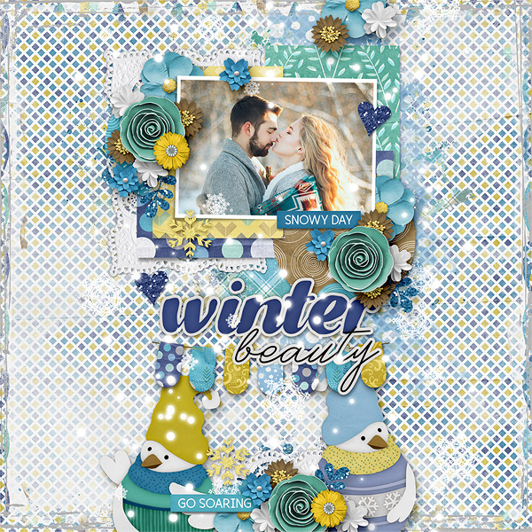 Winter Beauty