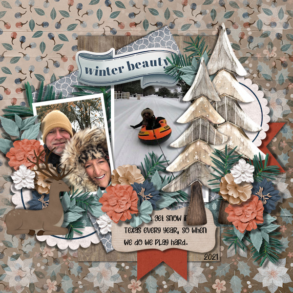 Winter Beauty