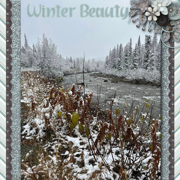 Winter Beauty