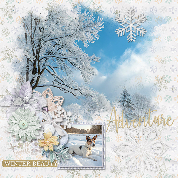 Winter Beauty
