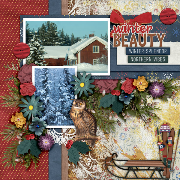 Winter-beauty5