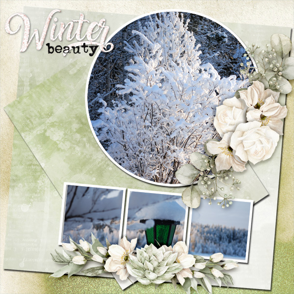 Winter-beauty6
