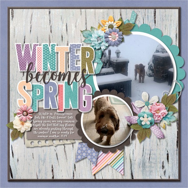 Winter becomes Spring