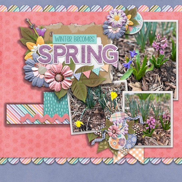Winter Becomes Spring