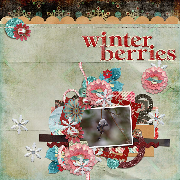 Winter Berries