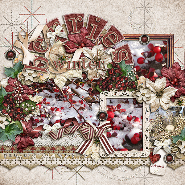 Winter berries