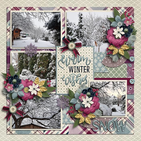 Winter berry