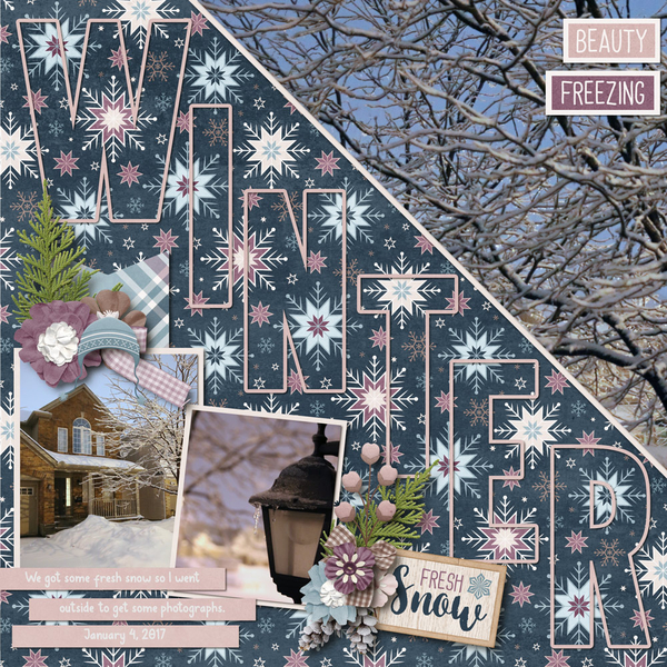 Winter Berry