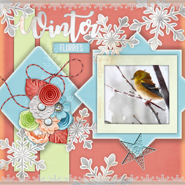 Winter Bird