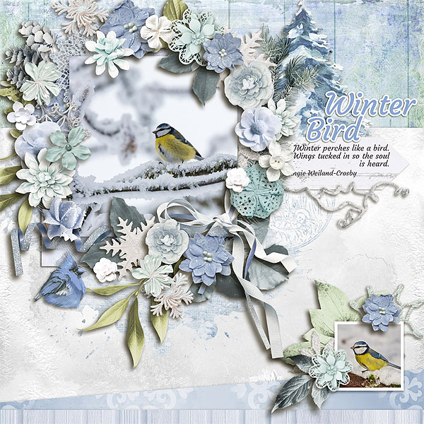 Winter bird