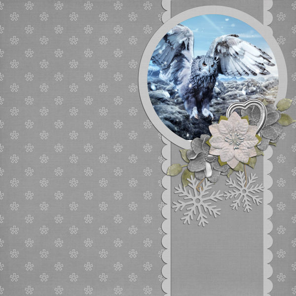 Winter Birds QP
