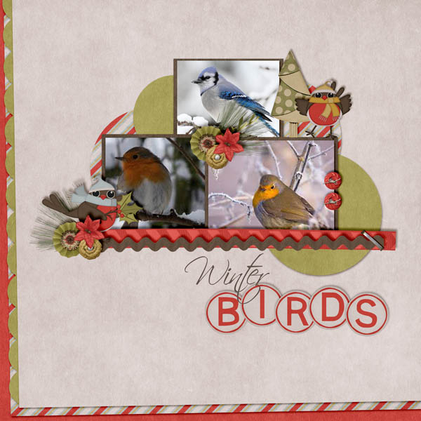 Winter Birds