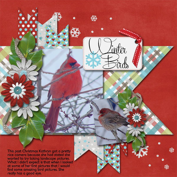 Winter Birds