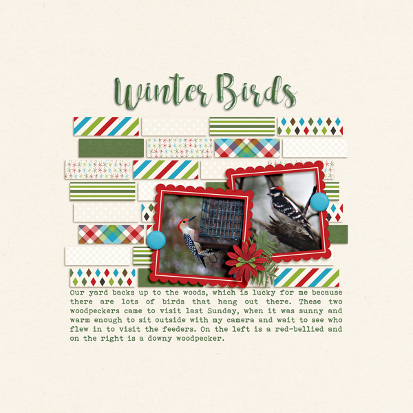 Winter Birds