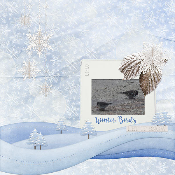 Winter Birds