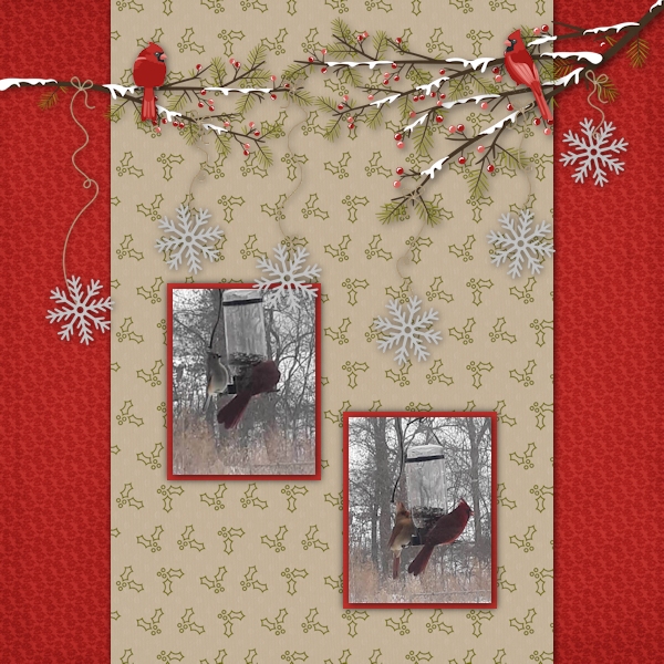 Winter Birds