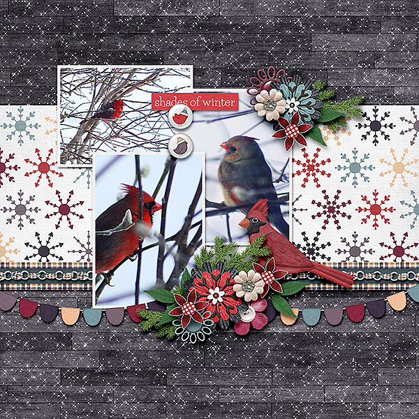 Winter Birds