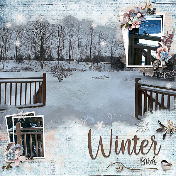 Winter Birds