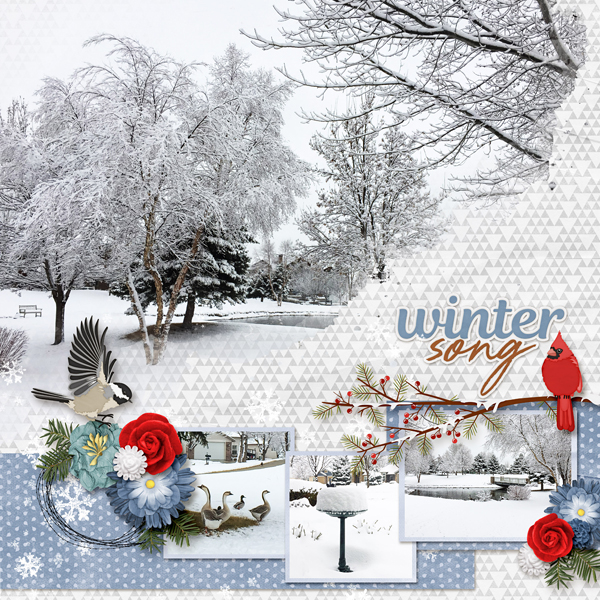 Winter Birds
