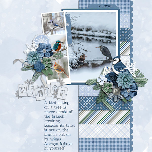 Winter birds