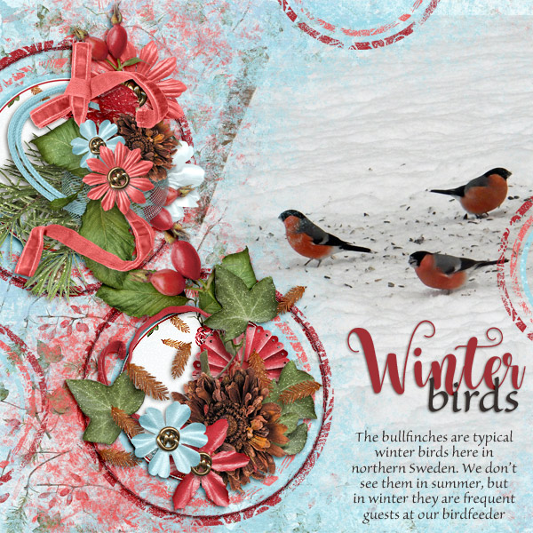 Winter-birds1