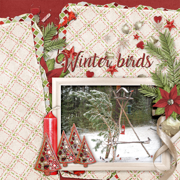 Winter-birds2