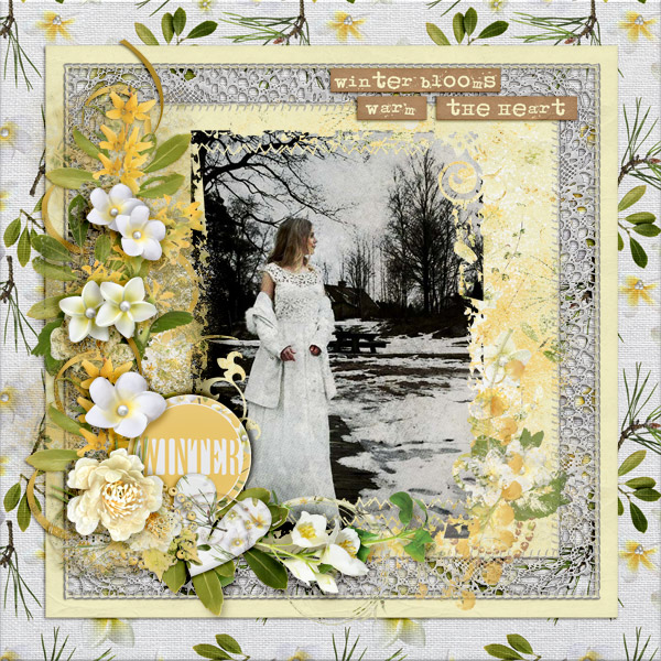 Winter-blooms