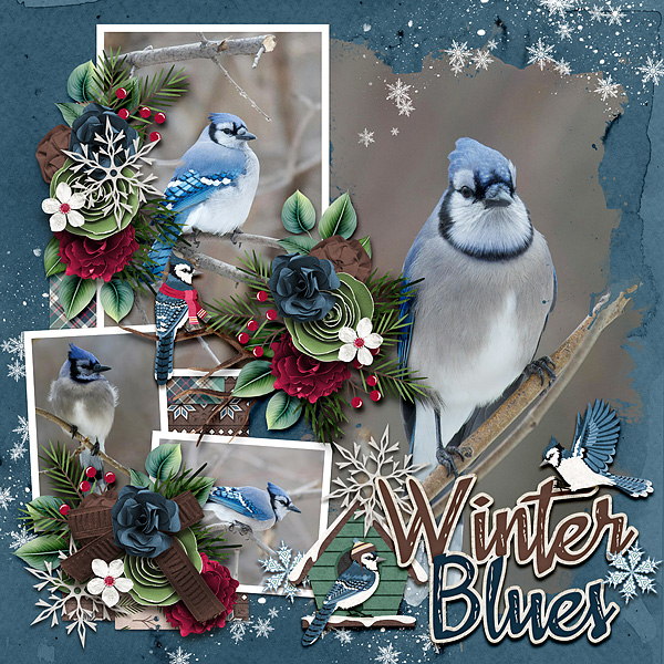 winter blues