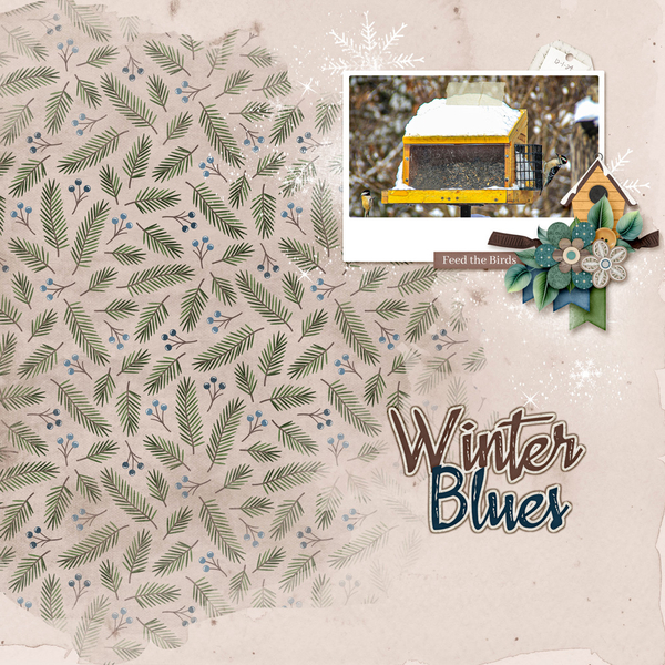 Winter Blues