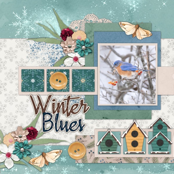Winter Blues