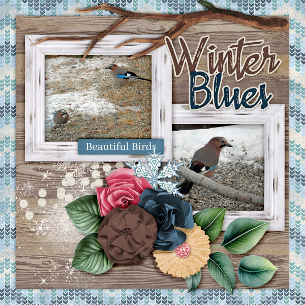 Winter-blues3