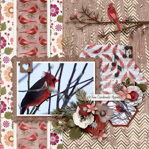 Winter Cardinal