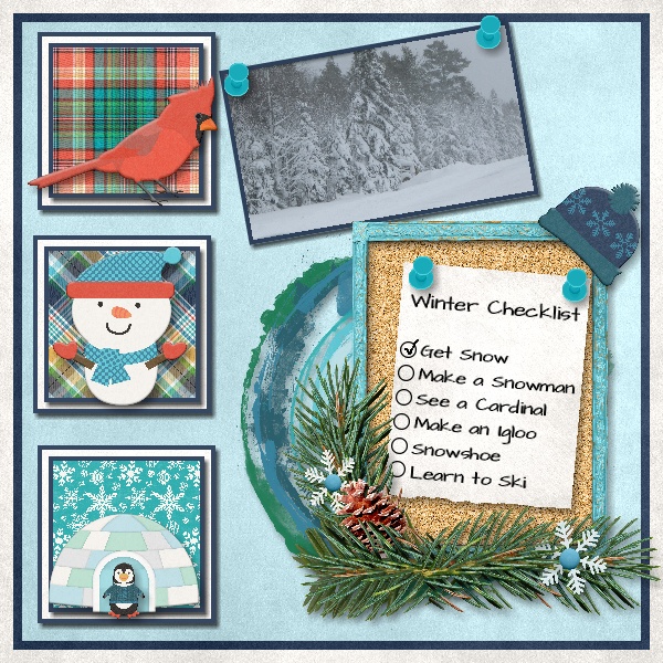 Winter Checklist