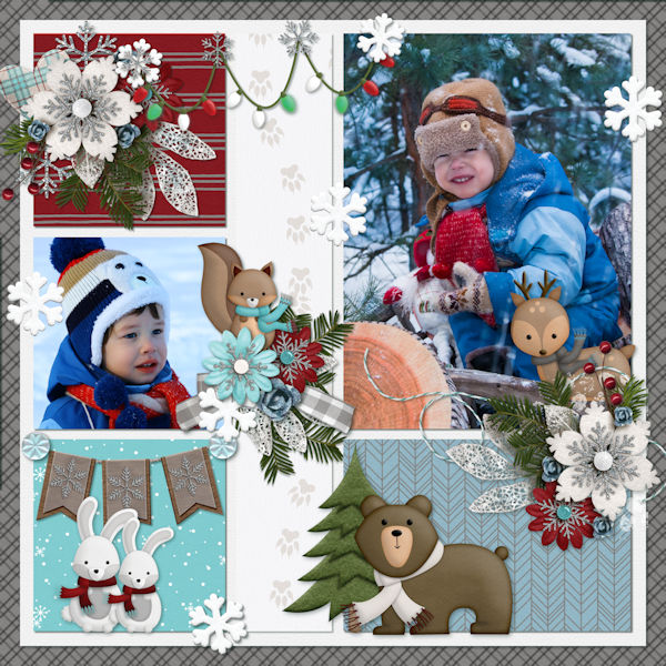 Winter Critters