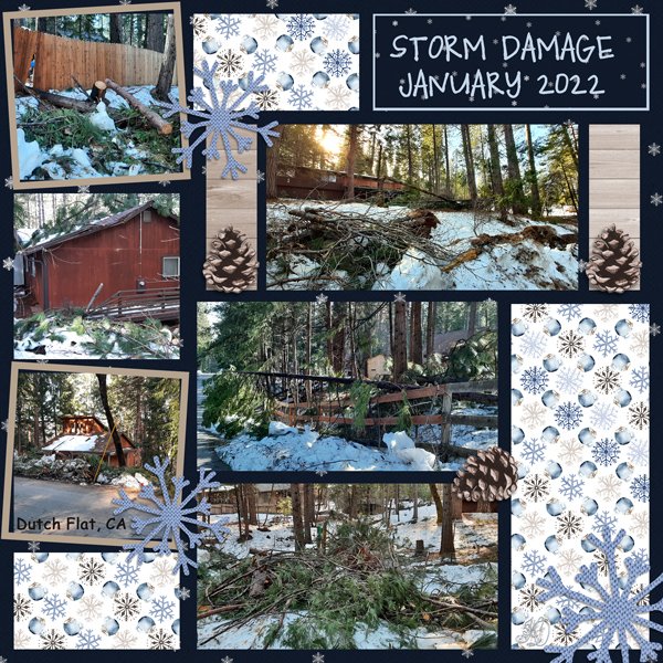 winter damage