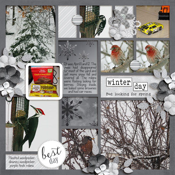 Winter Day, Looking for Spring