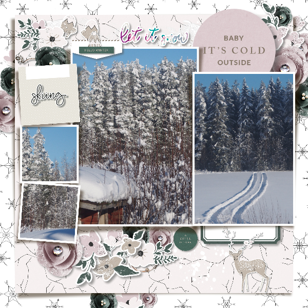 Winter day