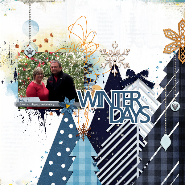 Winter Days