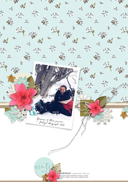 WINTER DAYS