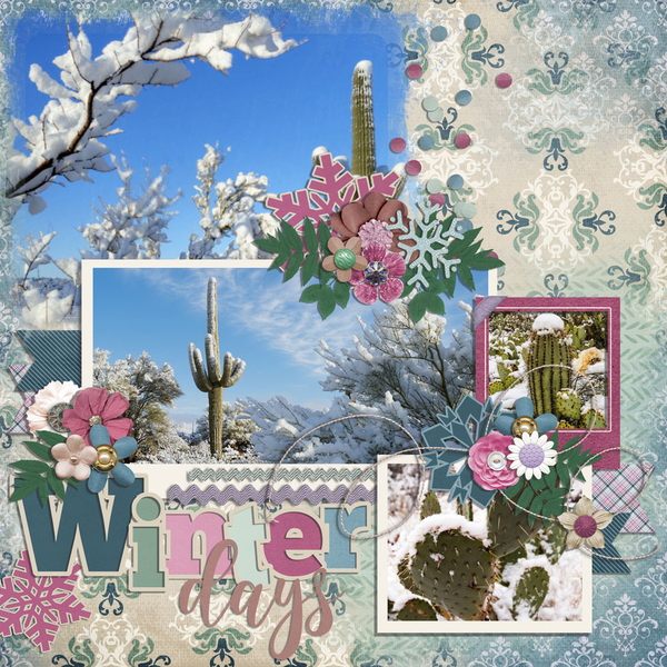 winter days