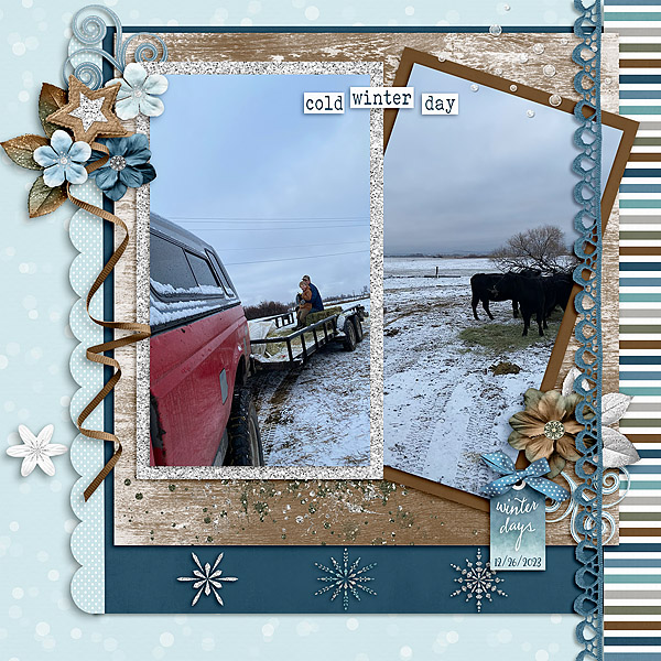 Winter Days