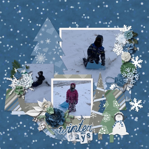 Winter Days