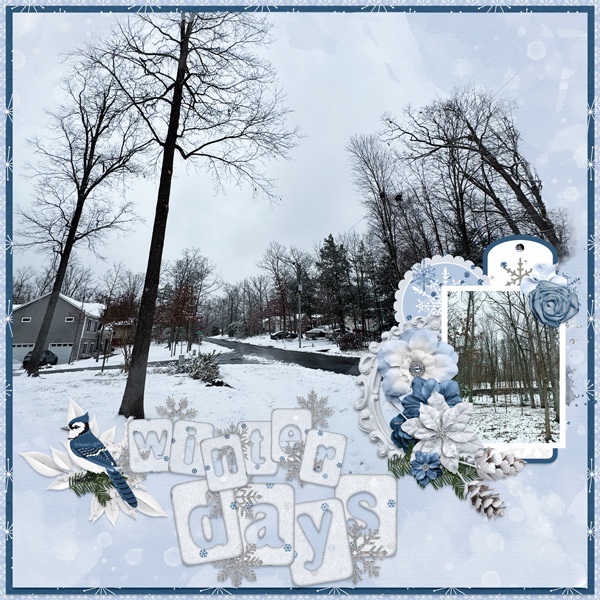 Winter Days