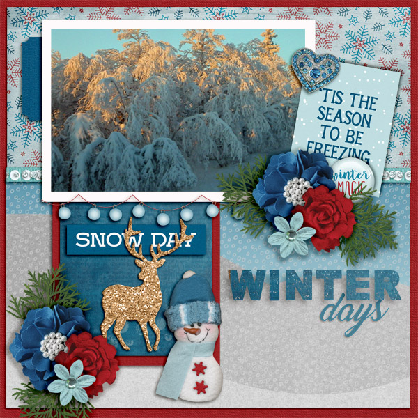 Winter-days1