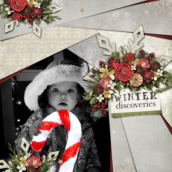 Winter Discoveries