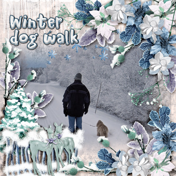Winter-dog-walk